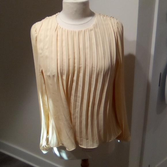 Pleated  Accordion Pleats Style Swing Top - Picture 5 of 16